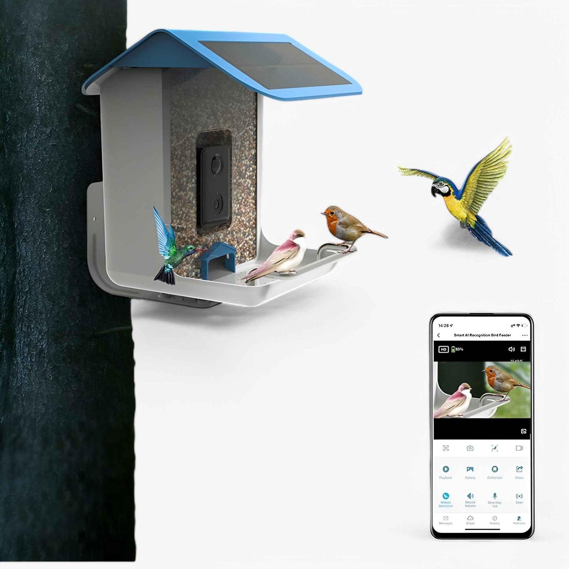 Auxco Mangeoire pour oiseaux intelligente — Mangeoire de jardin facile à utiliser