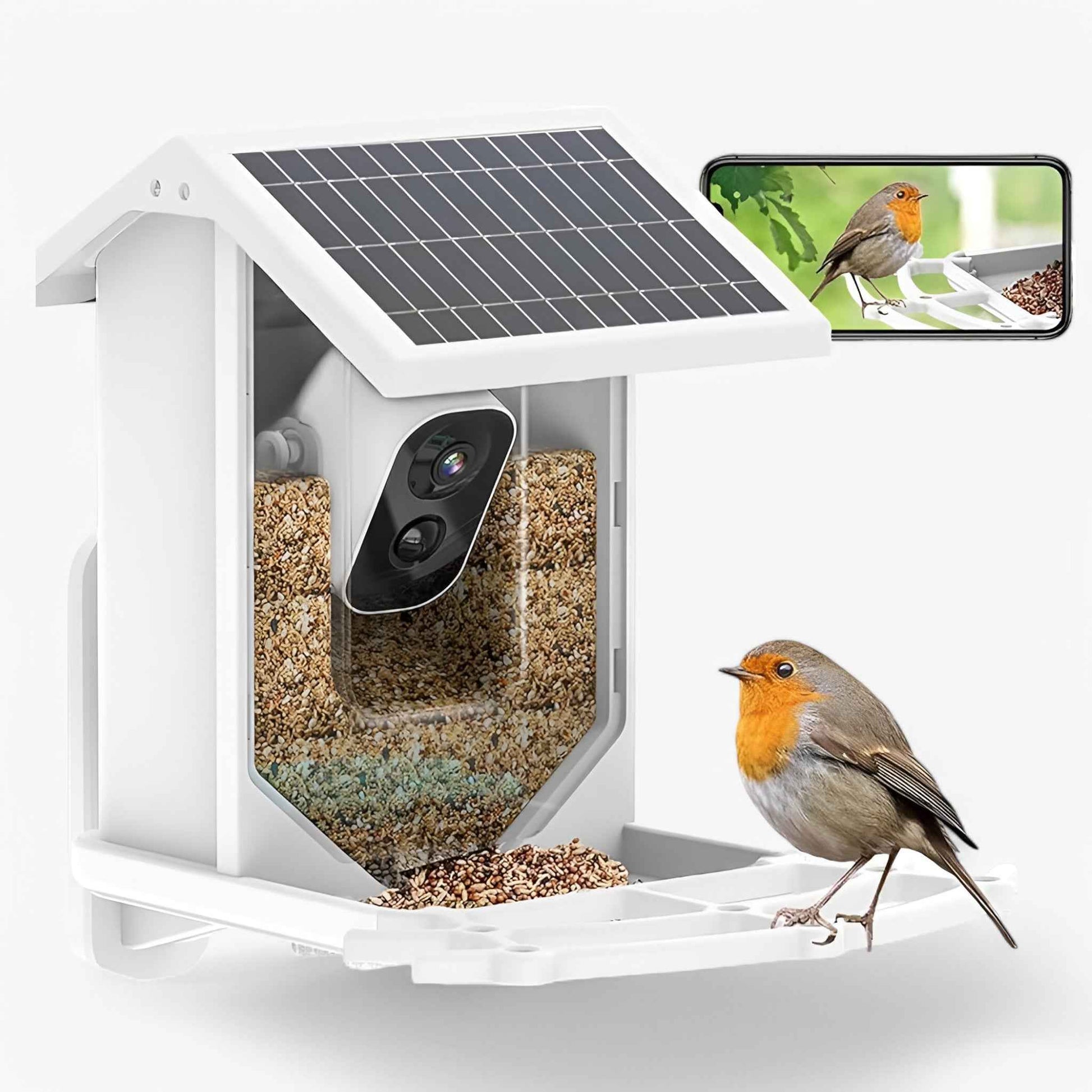 Auxco Mangeoire pour oiseaux intelligente — Mangeoire de jardin facile à utiliser