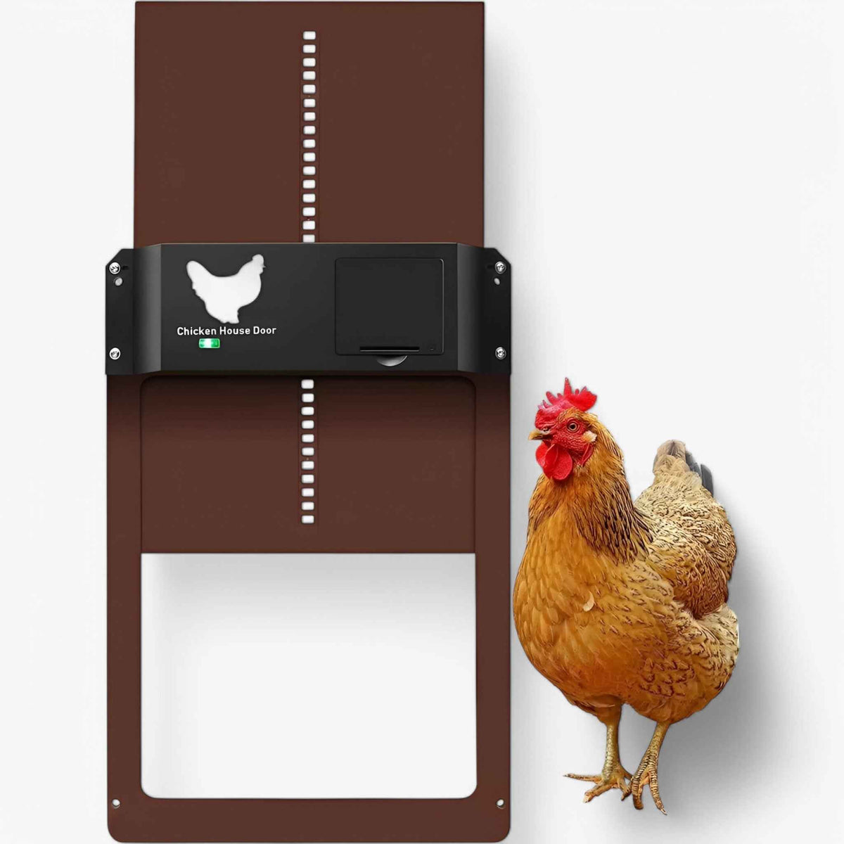 Chicken Coop Door : Porte Automatique Solaire PRO+ pour Poulailler - Capteurs Lumière & Minuterie Intelligente dans de Marche Lino