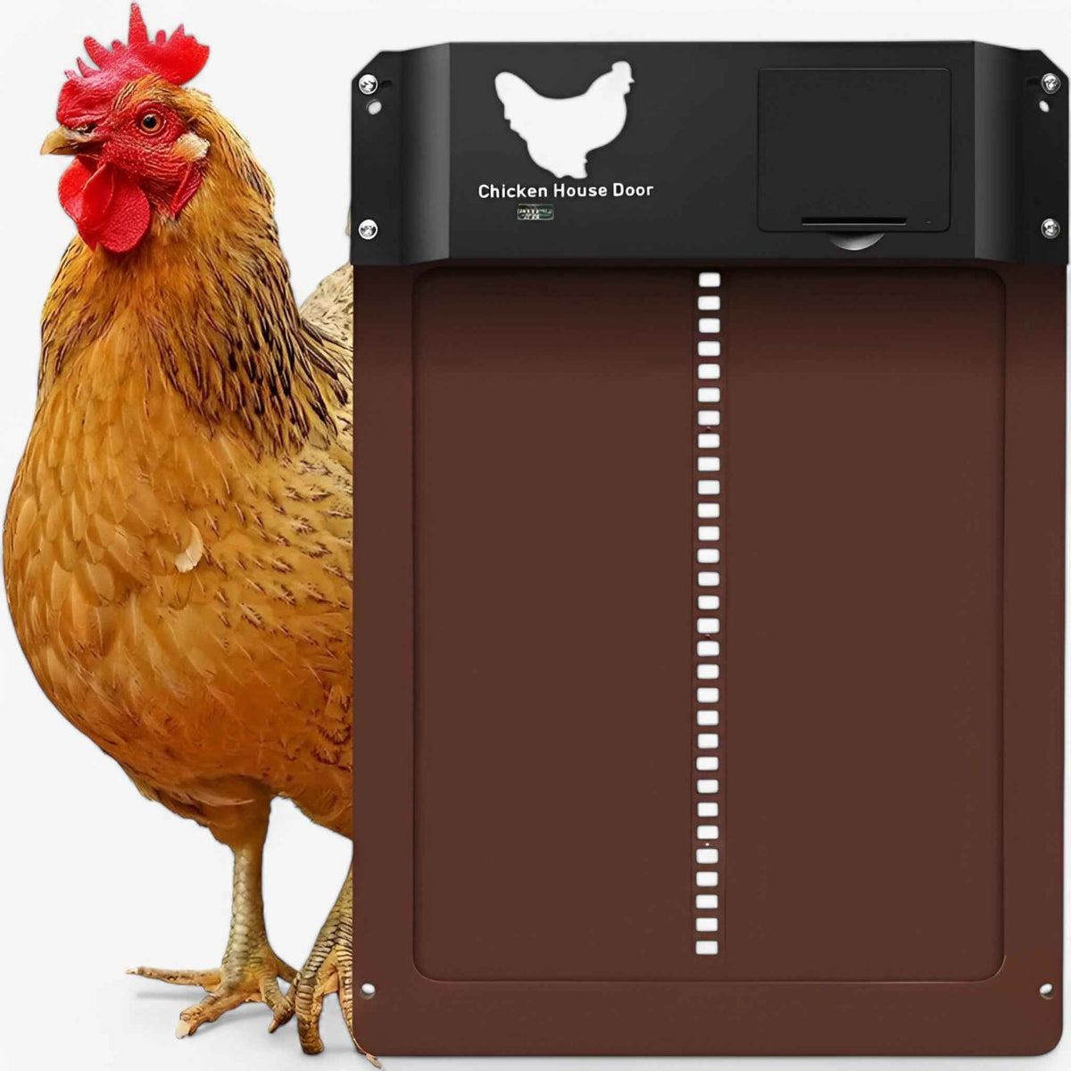 Chicken Coop Door : Porte Automatique Solaire PRO+ pour Poulailler - Capteurs Lumière & Minuterie Intelligente dans de Marche Lino