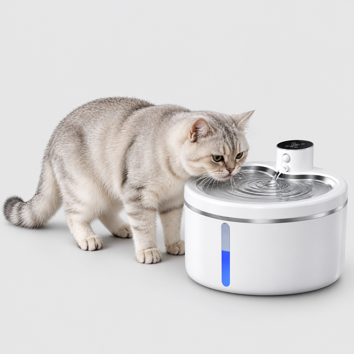 Fontaine à boire automatique pour Chats et Petits Chiens - Gamelle en acier inoxydable avec Filtre et Capteur de mouvement