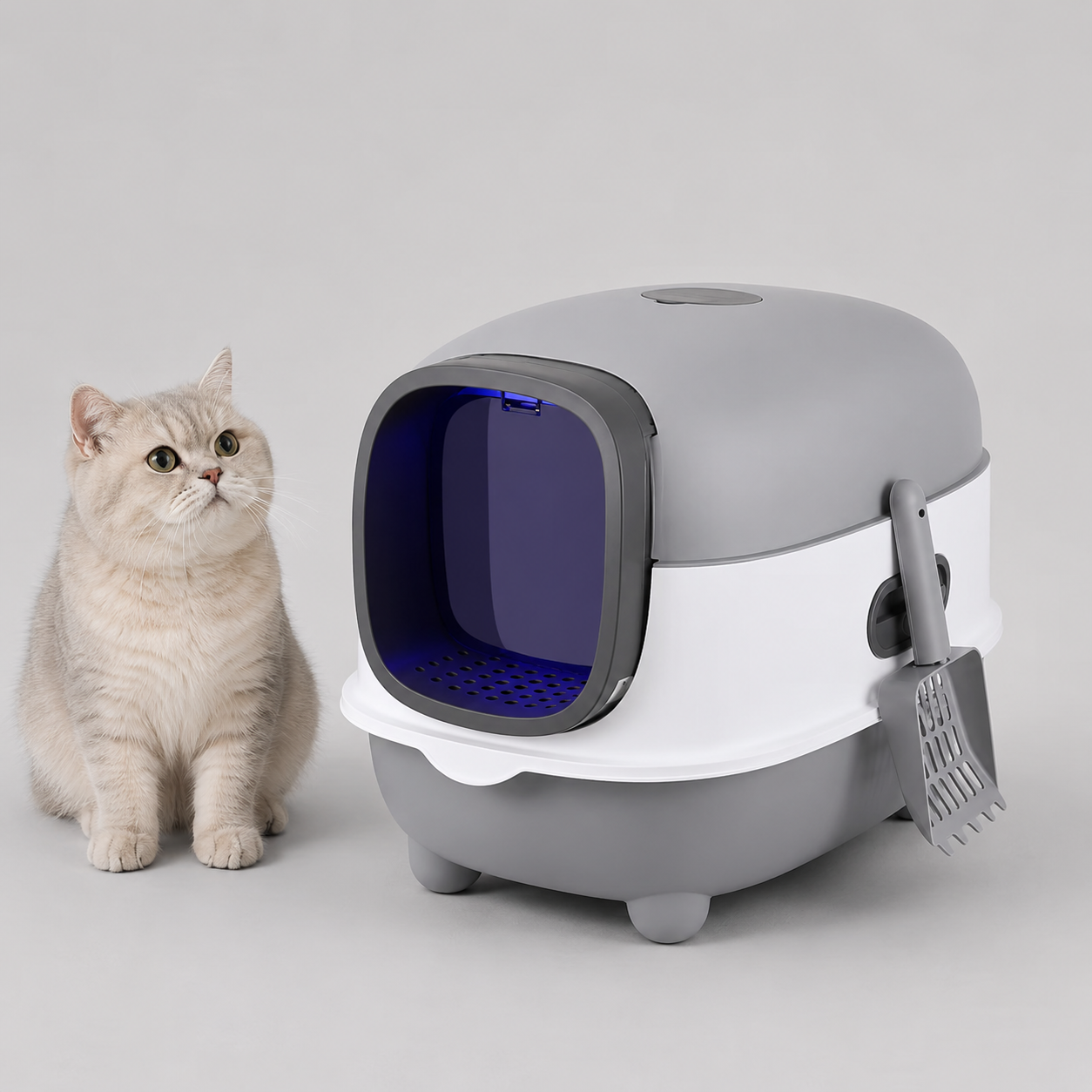 Maison de toilette XXL pour chat, Gris clair, design clos, avec