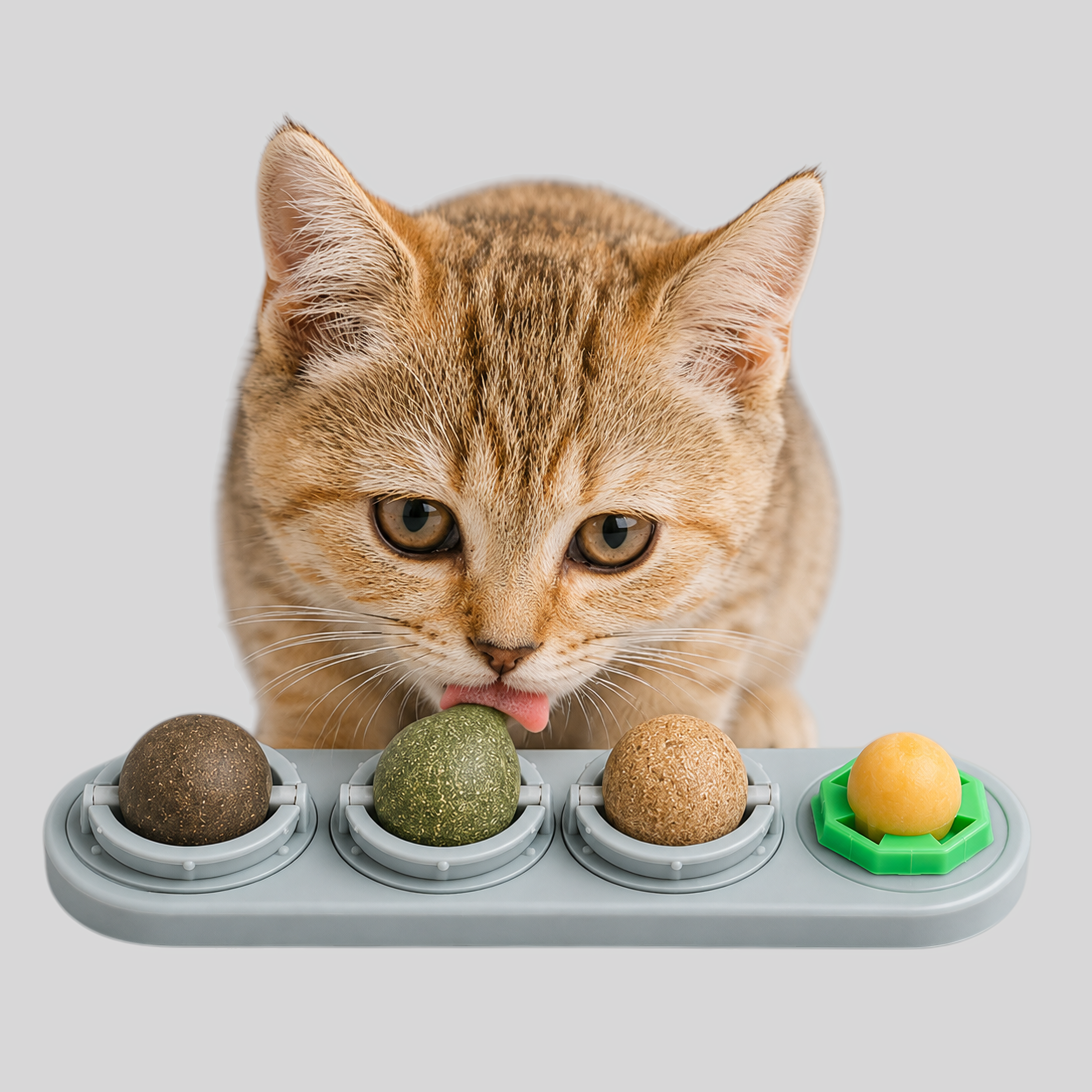 Jeu d'occupation félin à lécher - Boules rotatives enrichies