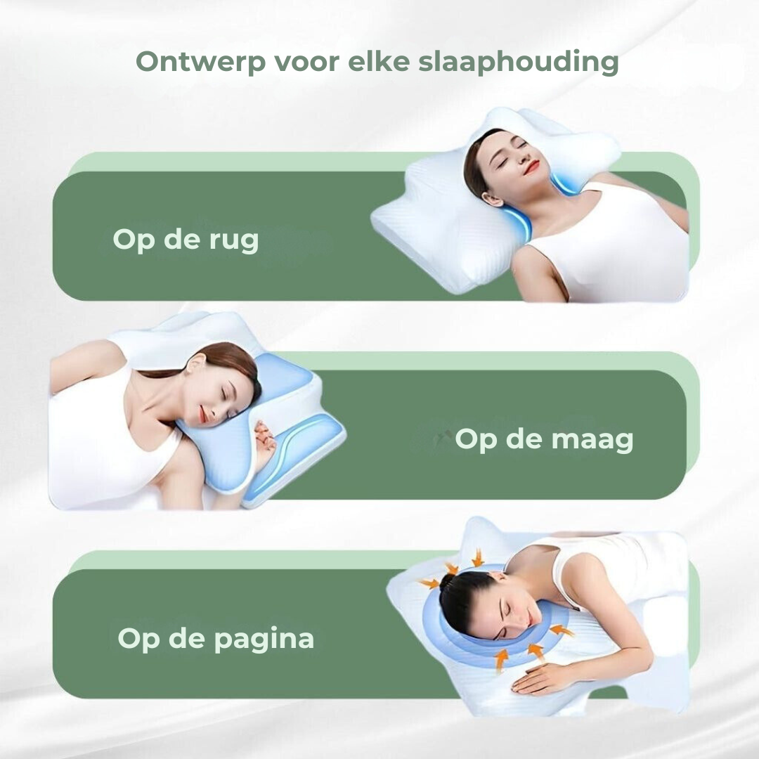 DreamAlign Oreiller Orthopédique Contour - Soutien Cou & Épaules