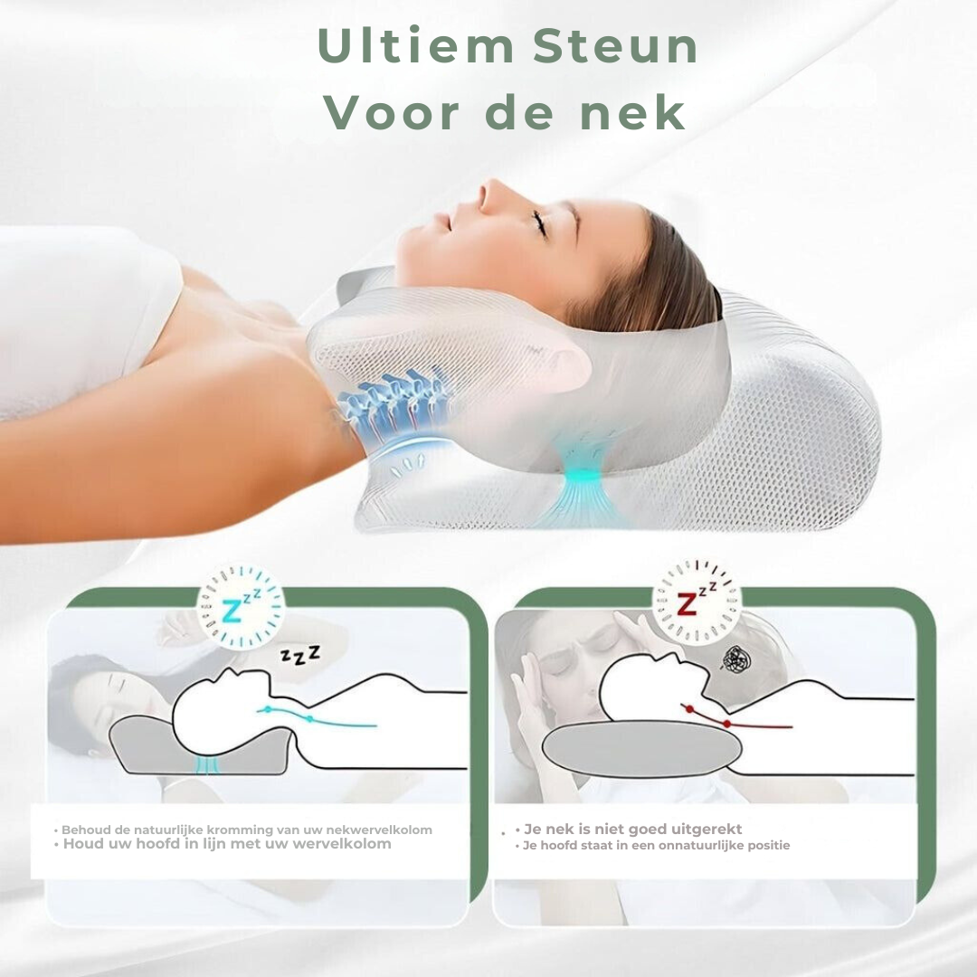 DreamAlign Oreiller Orthopédique Contour - Soutien Cou & Épaules