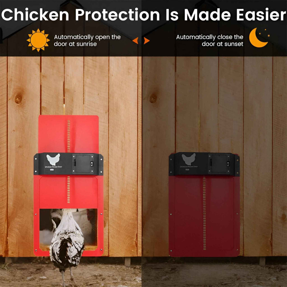 Chicken Coop Door : Porte Automatique Solaire PRO+ pour Poulailler - Capteurs Lumière & Minuterie Intelligente dans de Marche Lino