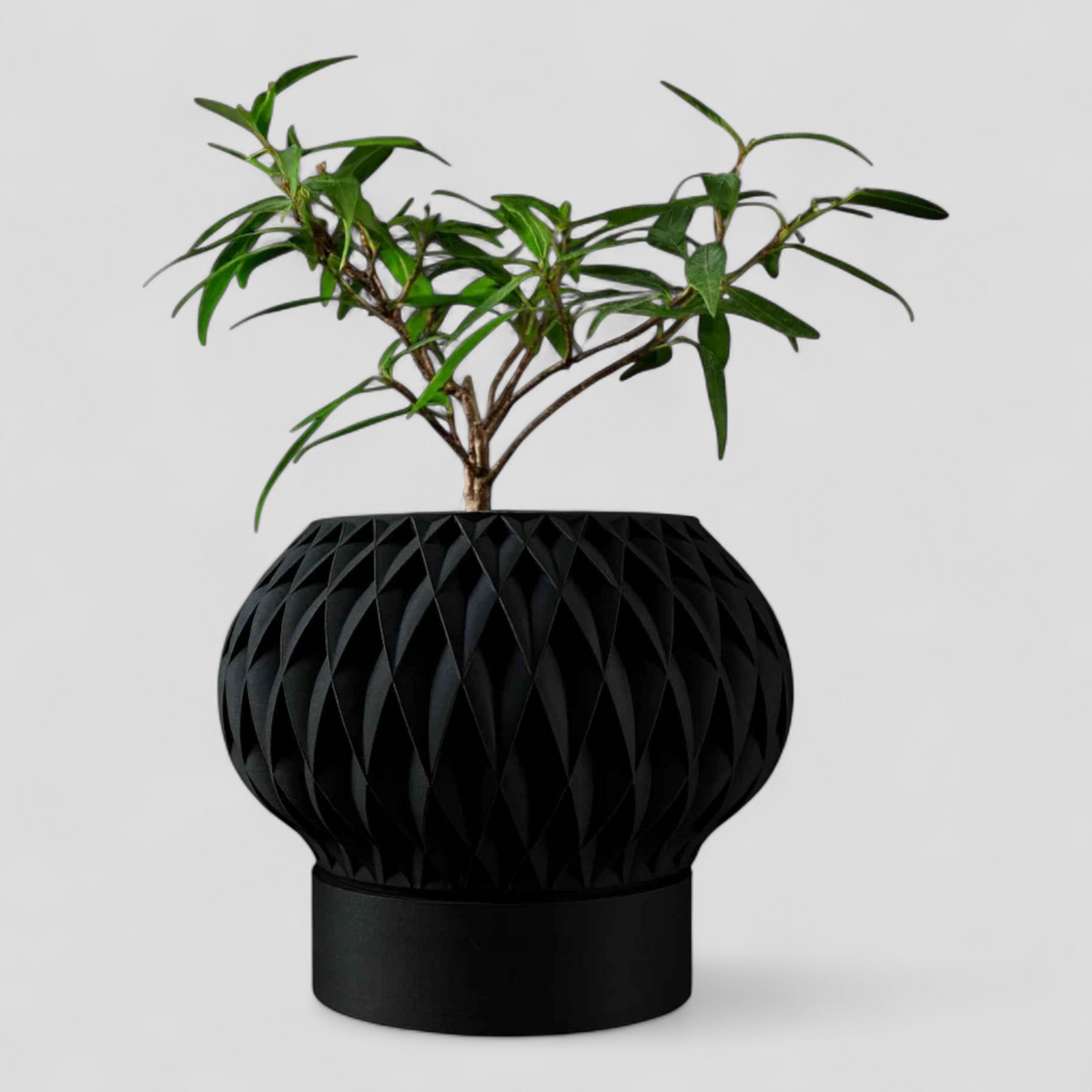 Pots de fleurs : Jardinière au Design 3D Contemporain Pots de fleurs dans Noir Charbon Mat de Marche Lino