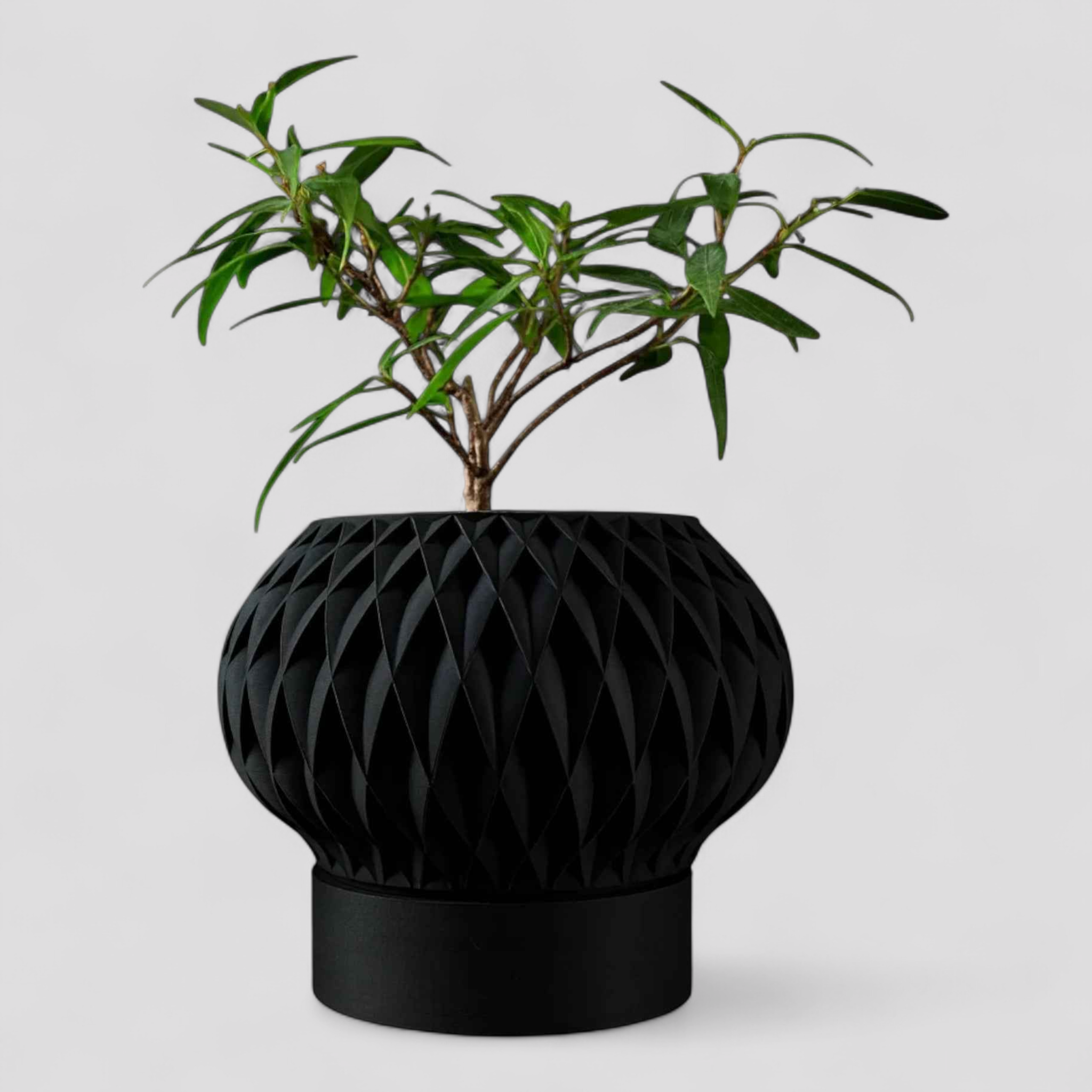 Pots de fleurs : Jardinière au Design 3D Contemporain Pots de fleurs dans Noir Charbon Mat de Marche Lino