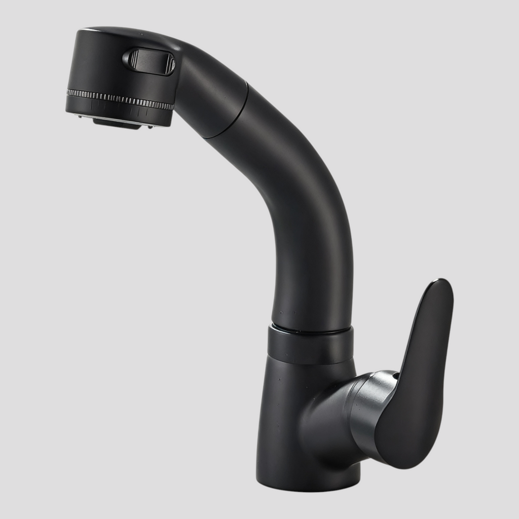 Robinet de Salle de Bain Chromé avec Bec Orientable
