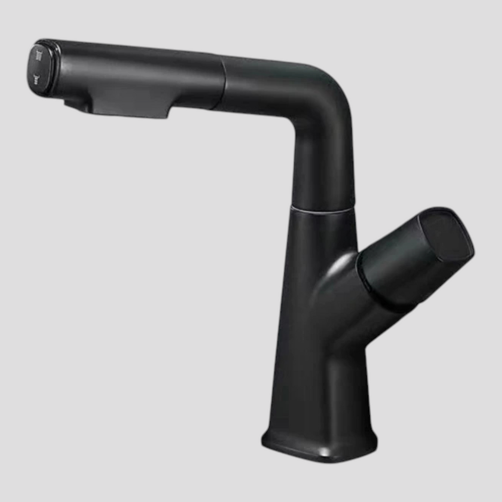 Robinet de Cuisine Chromé avec Buse Extractible et Mélangeur