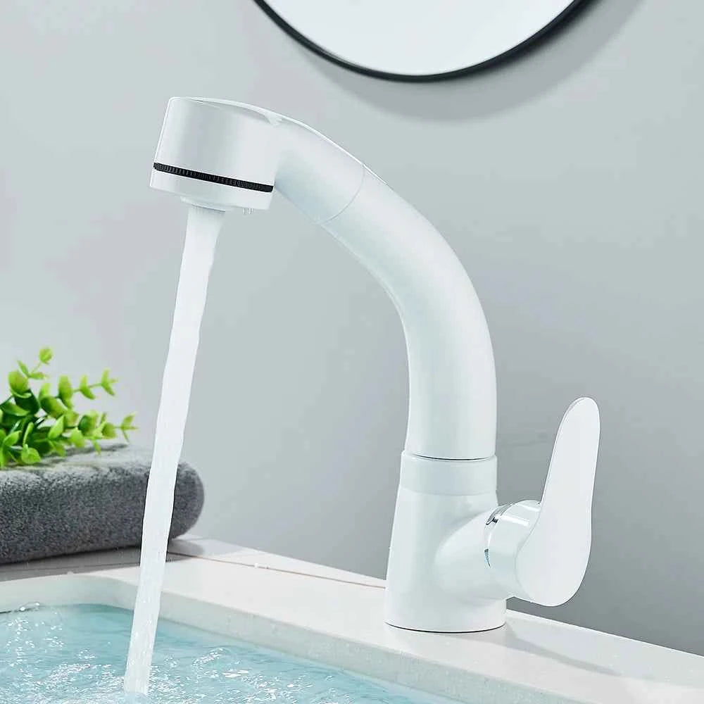 Robinet de Salle de Bain Chromé avec Bec Orientable