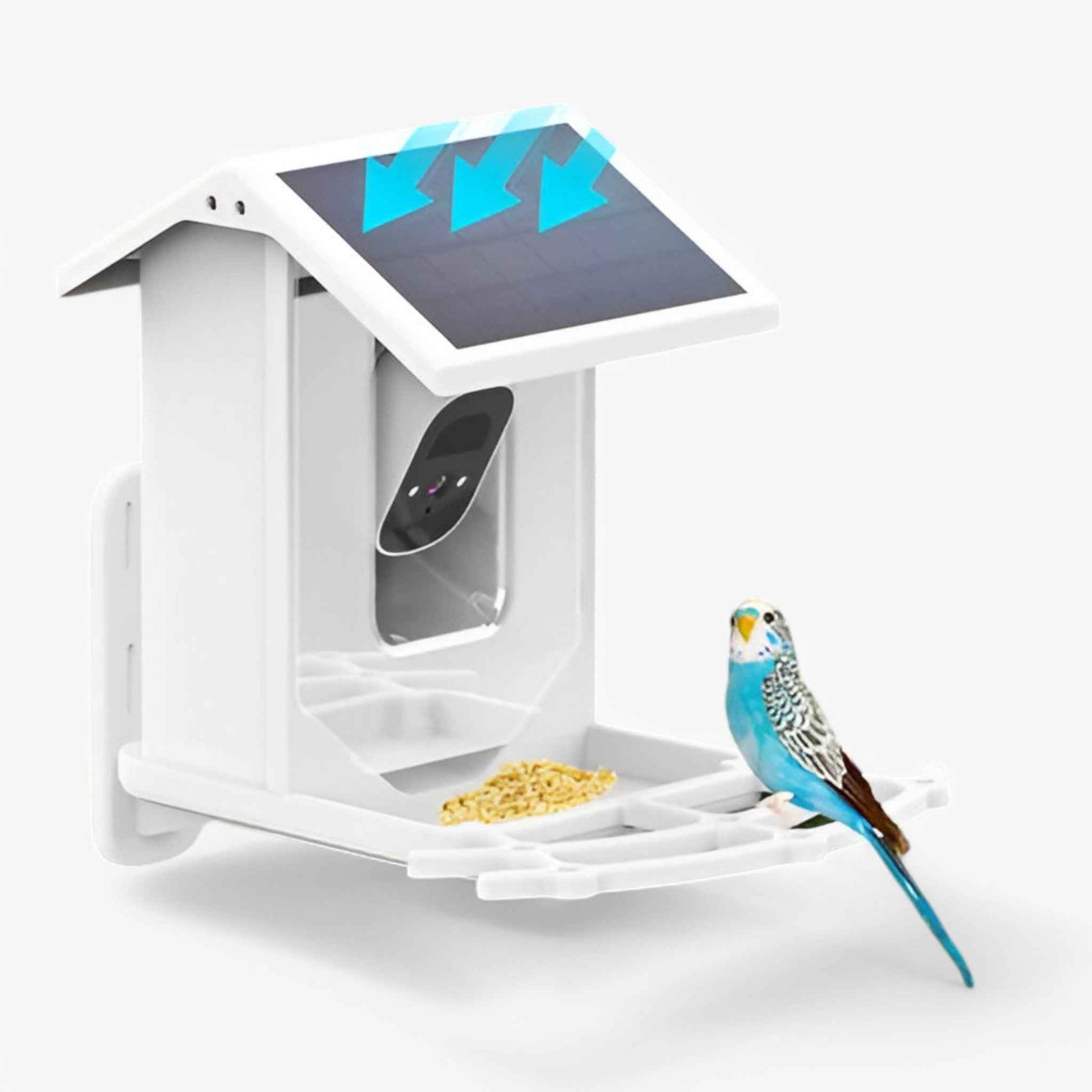 Auxco Mangeoire pour oiseaux intelligente — Mangeoire de jardin facile à utiliser