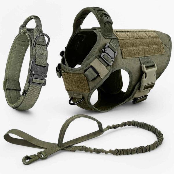 Pets & Supplies : Harnais Tactique Militaire Noir en Nylon Rembourré pour Grands Chiens avec Poignée Robuste dans de Marche Lino