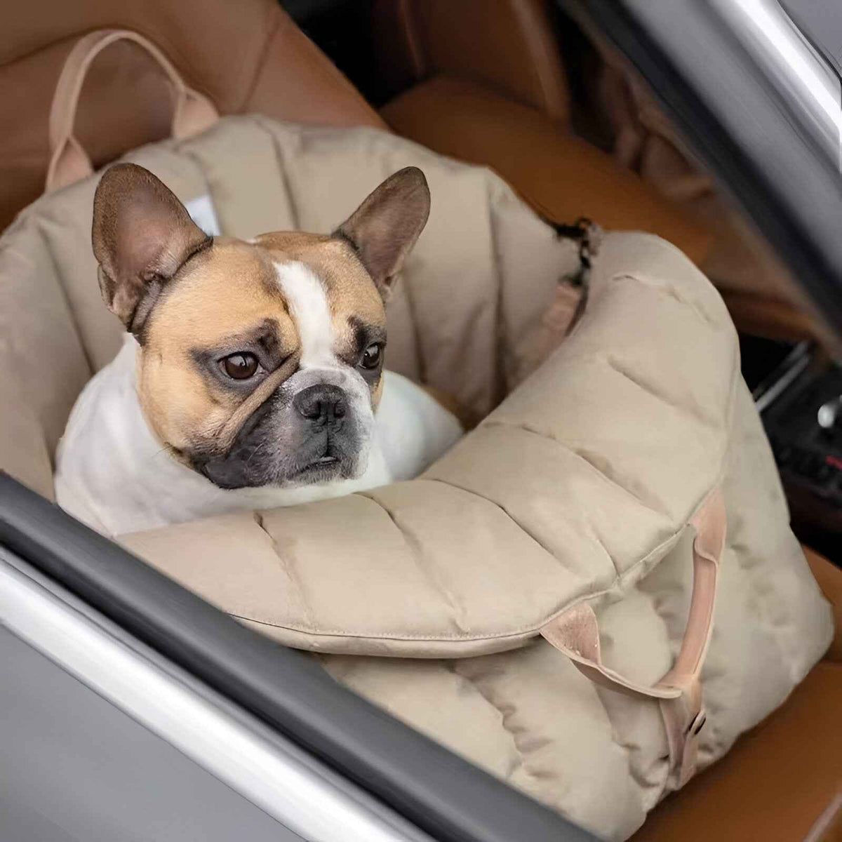 Pets & Supplies : Sac de transport pour chien de luxe et chaud pour les voyages, Petite Taille, Rembourrage Doux dans de Marche Lino