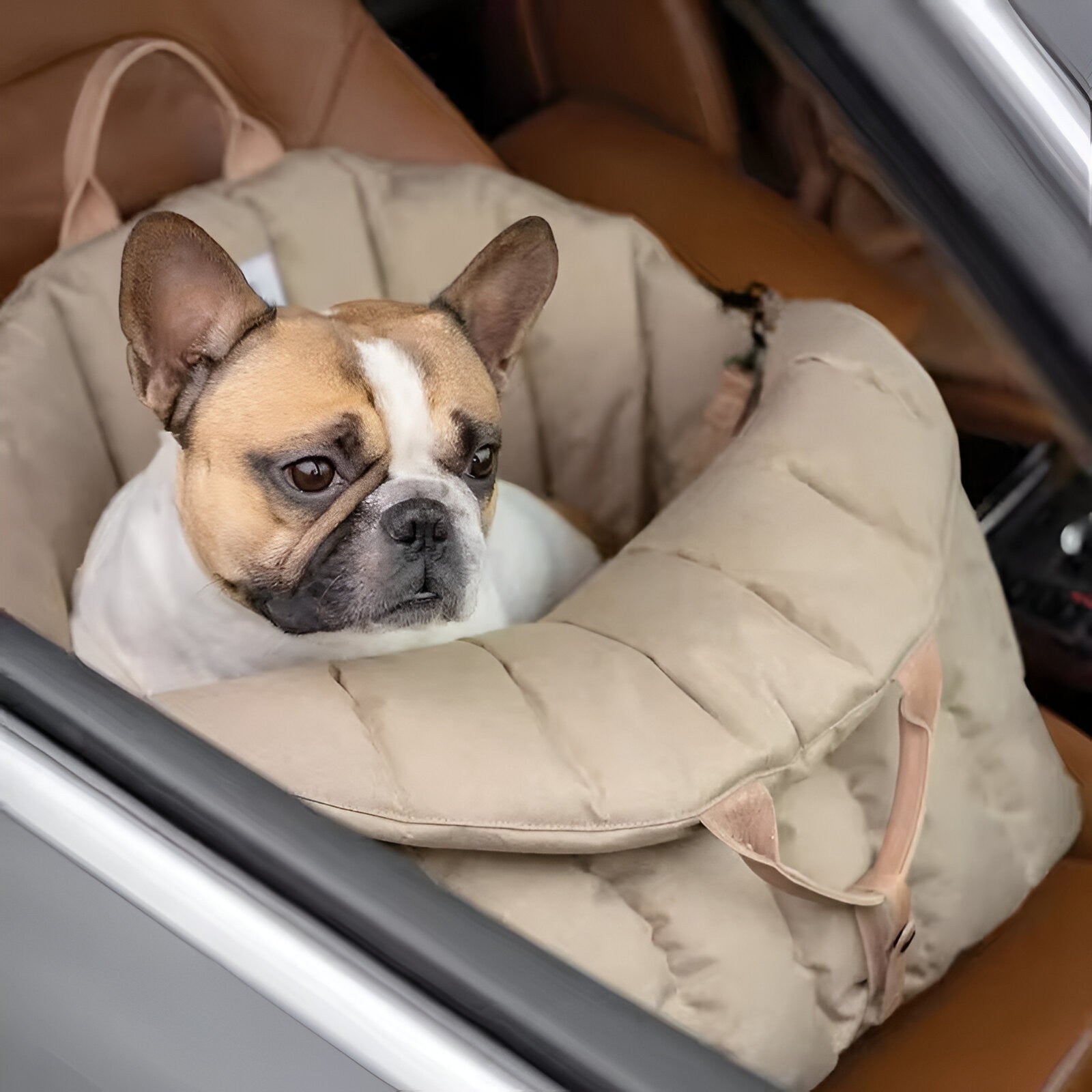 Sac de transport pour chien de luxe et chaud pour les voyages, Petite Taille, Rembourrage Doux