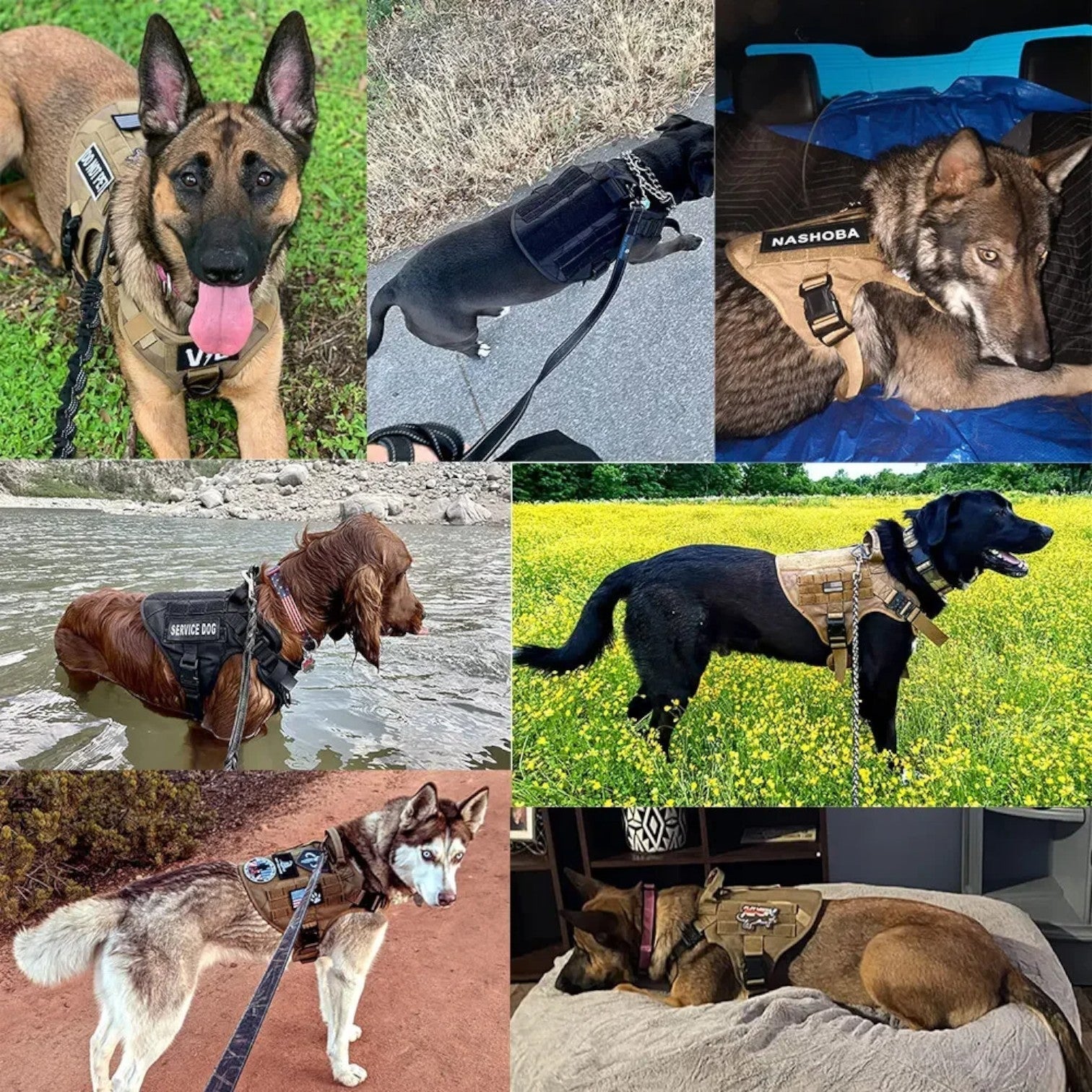 Harnais Tactique Militaire Noir en Nylon Réglable pour Grands Chiens avec Gilet et Poignée
