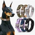Robust och justerbart taktiskt hundhalsband - För träning