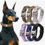 Collier Tactique Chien Robuste et Réglable - Pour Entraînement