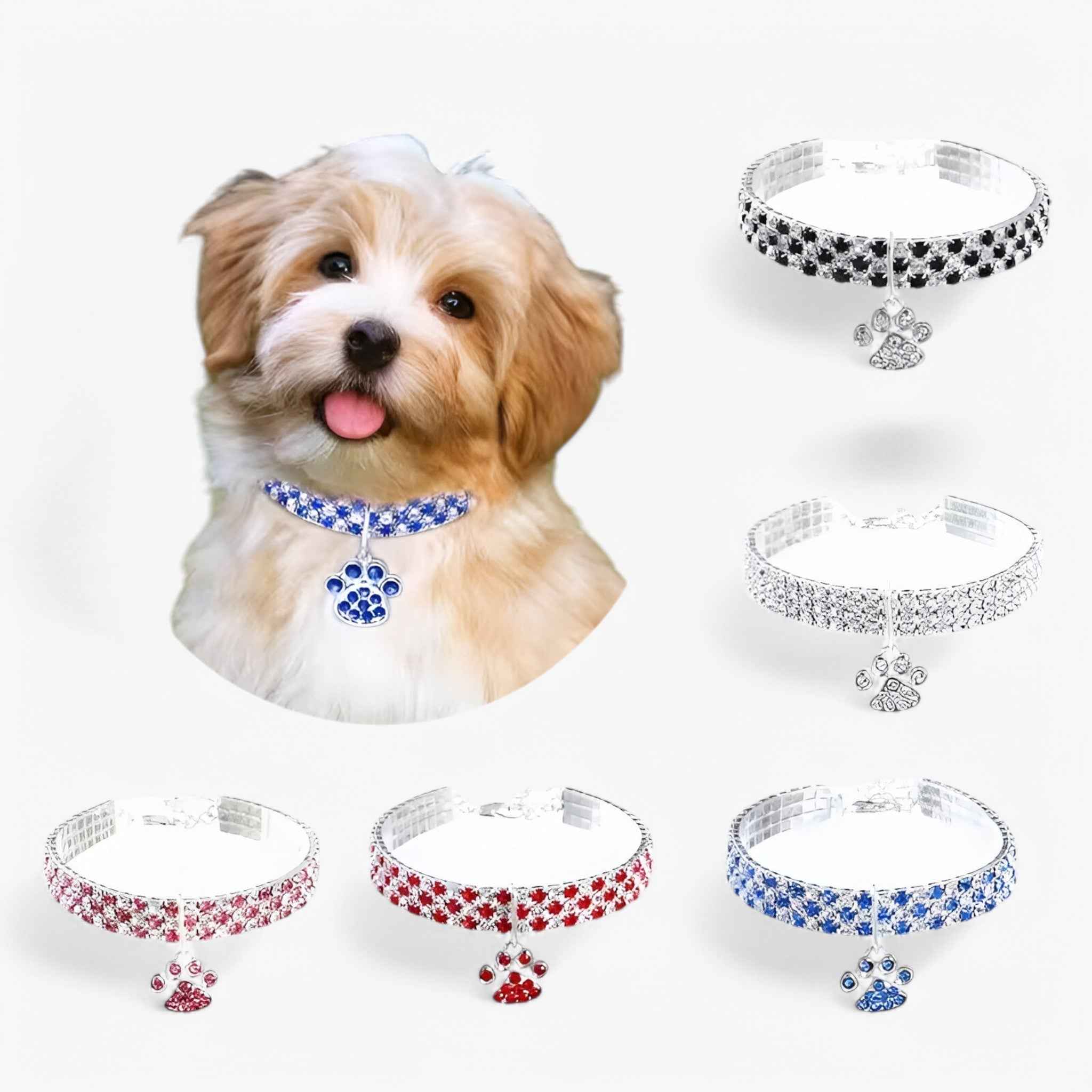 Pets & Supplies : Collier Homme Luxe Argent 925 avec Pendentif Diamant CZ Cristal Élégant dans de Marche Lino