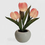 Lampe de Chevet LED Fleur Tulipe Ambiance Douce