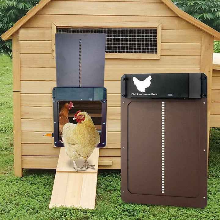 Chicken Coop Door : Porte Automatique Solaire PRO+ pour Poulailler - Capteurs Lumière & Minuterie Intelligente dans de Marche Lino