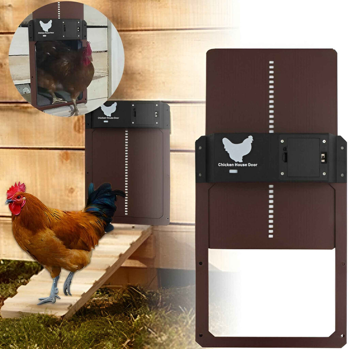 Chicken Coop Door : Porte Automatique Solaire PRO+ pour Poulailler - Capteurs Lumière & Minuterie Intelligente dans de Marche Lino