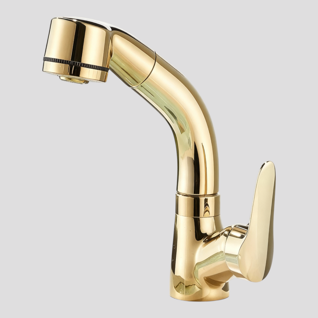 Robinet de Salle de Bain Chromé avec Bec Orientable