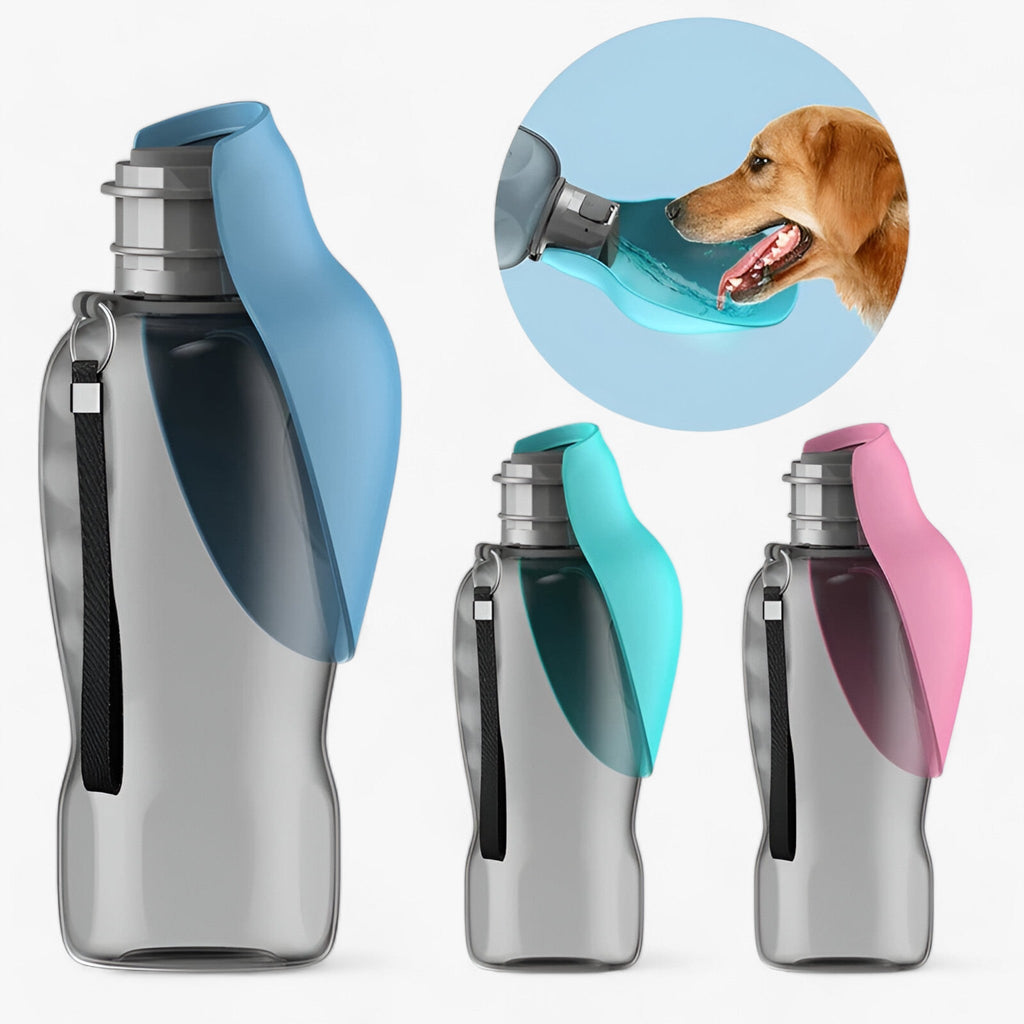 Bouteille d'eau portable et élégante pour chiens - Hydratation en déplacement, pour tous les chiens