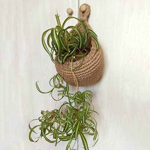 paniers-muraux-suspendus-pour-legumes-et-fruits-gain-de-place-et-design-elegant