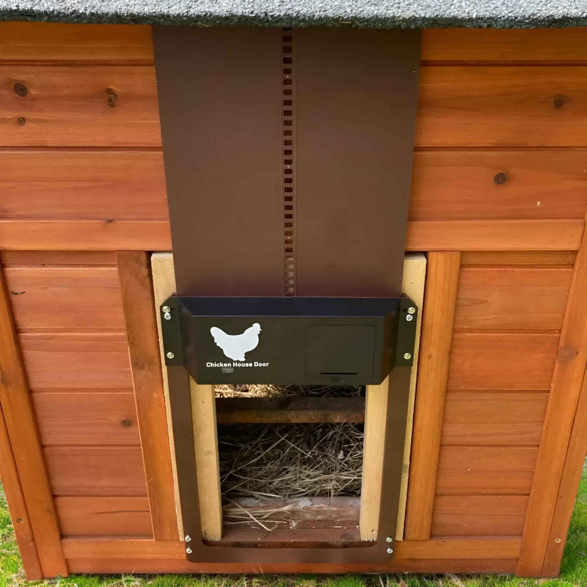 Chicken Coop Door : Porte Automatique Solaire PRO+ pour Poulailler - Capteurs Lumière & Minuterie Intelligente dans de Marche Lino