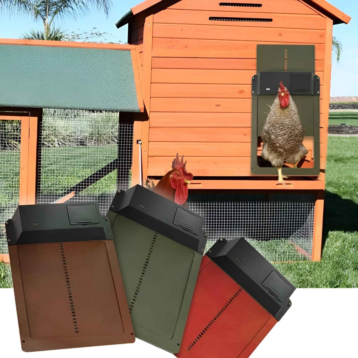 Chicken Coop Door : Porte Automatique Solaire PRO+ pour Poulailler - Capteurs Lumière & Minuterie Intelligente dans de Marche Lino